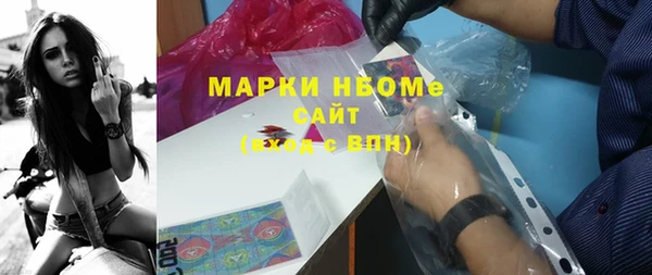 mdpv Бородино