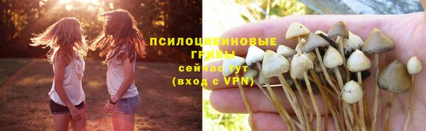 mdpv Бородино