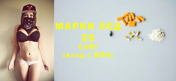 mdpv Бородино