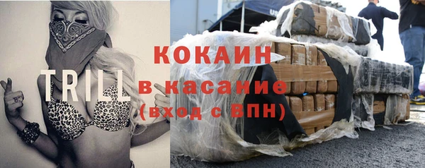 mdpv Бородино