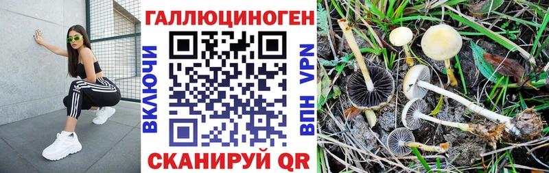 Псилоцибиновые грибы GOLDEN TEACHER Демидов